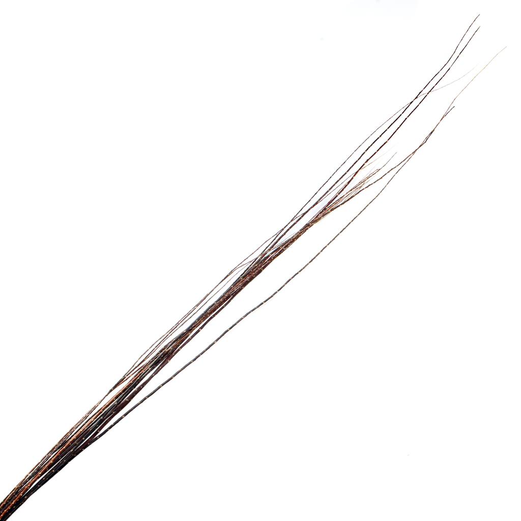 10454315.jpg img